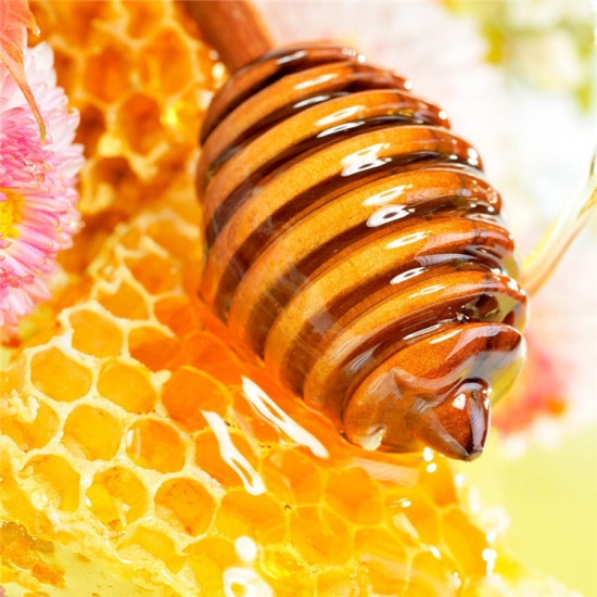 Rapeseed Bee Honey OEM 100% Pure Natural 